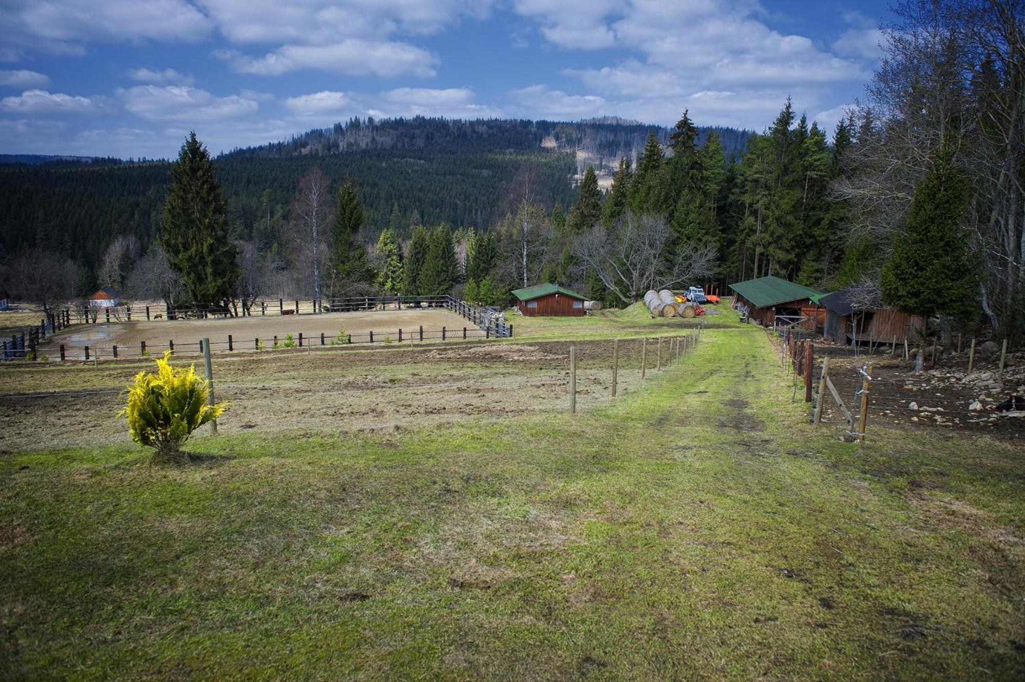 Penzion Farma U Mauritzu Stožec Exteriör bild